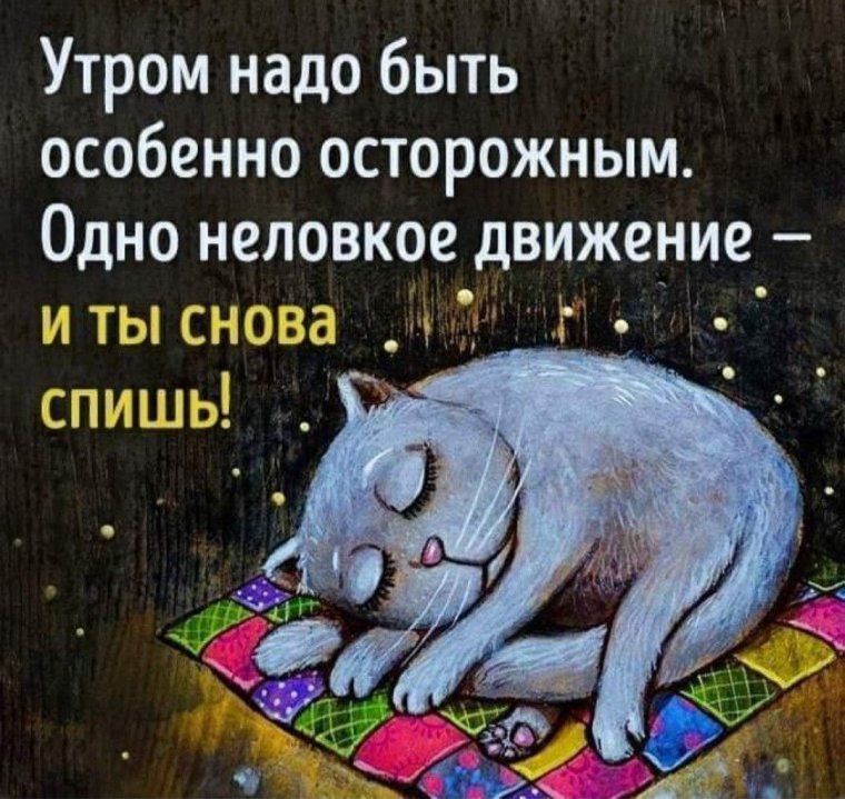 Добрые смешные высказывания