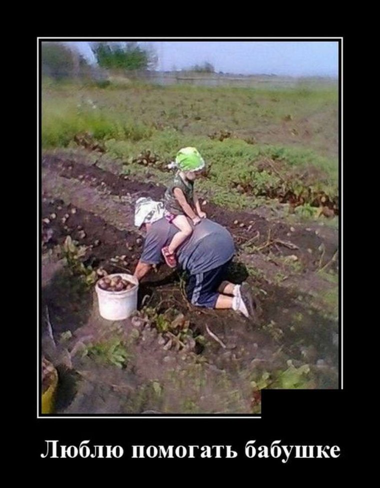Копка картошки смешное