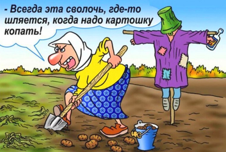 Анекдоты про дачу в картинках