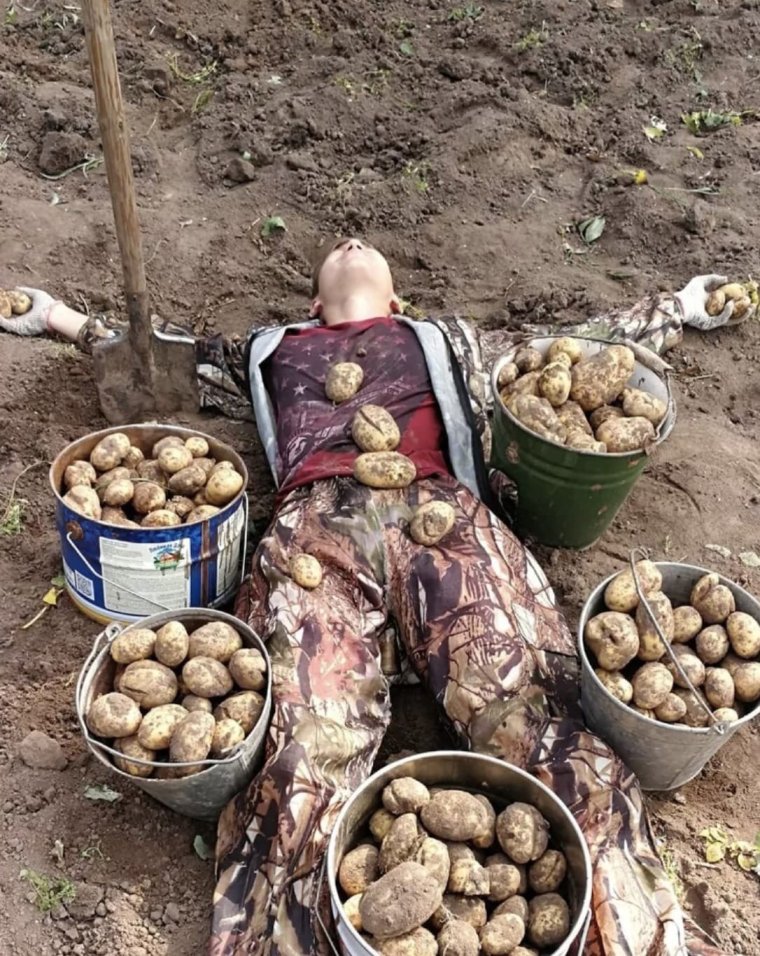 Картошка прикол