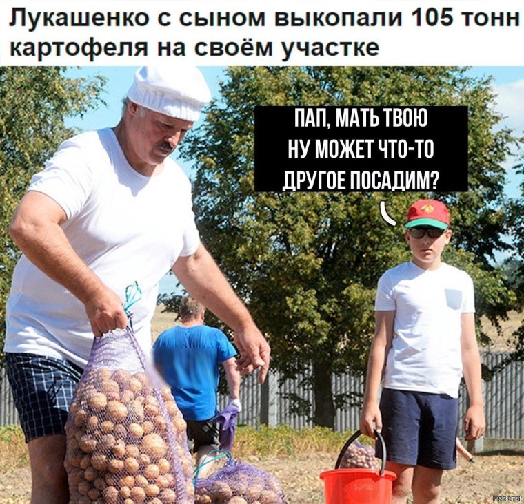 Картошка прикол