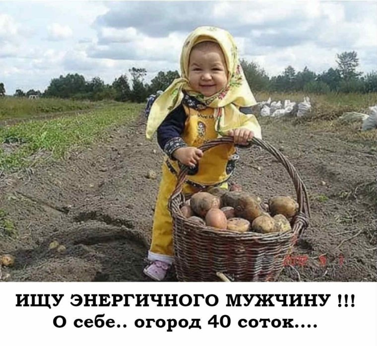 Приколы про огород и картошку