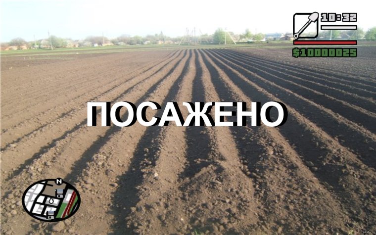 Открытка про посадку картошки