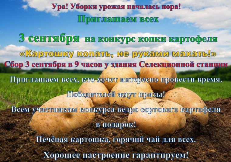 Приглашение на картошку