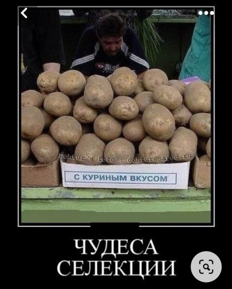 Картошка прикол