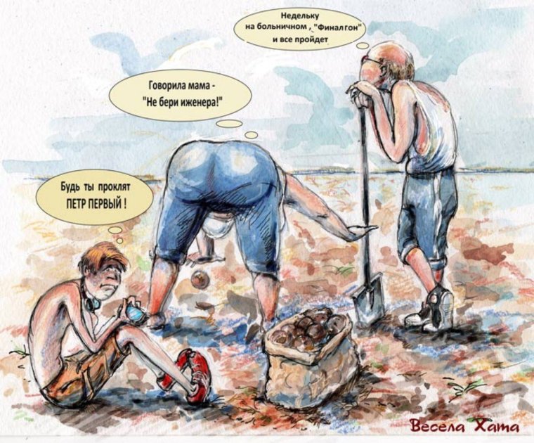 Сажаем картошку карикатуры