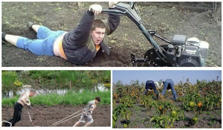 Пахать на даче