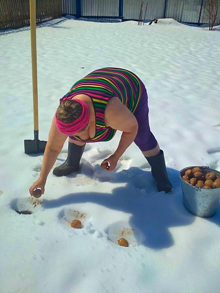 Садим картошку прикол