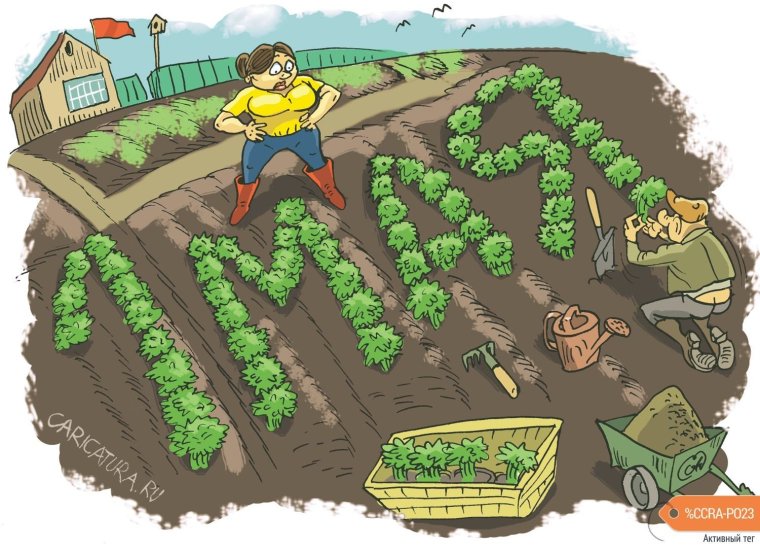 Огород карикатура