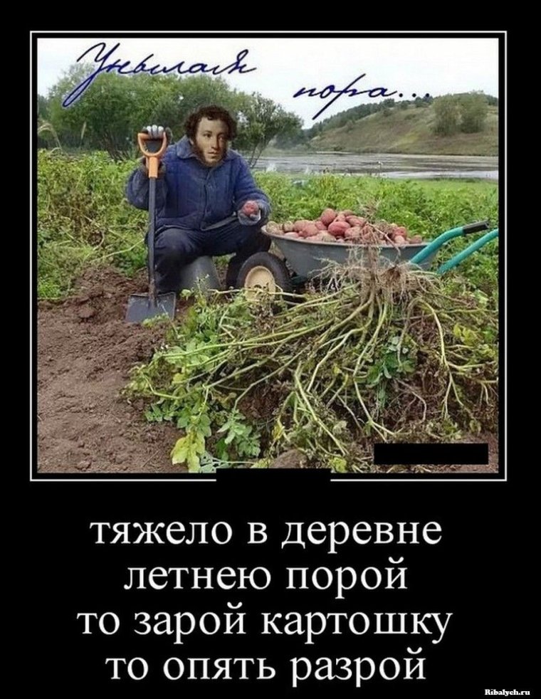 Смешные антимотиваторы