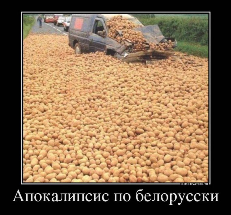 Шутки про картошку