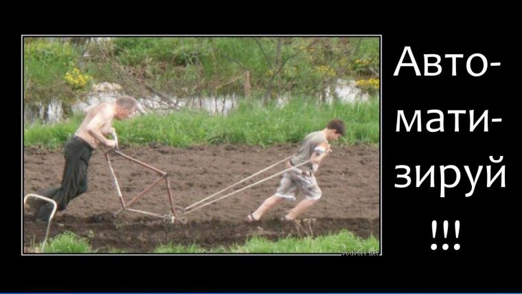 Демотиваторы про дачу