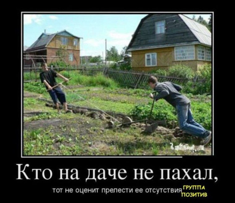 Демотиваторы про дачу