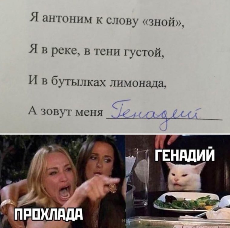 И зовут его Геннадий Мем