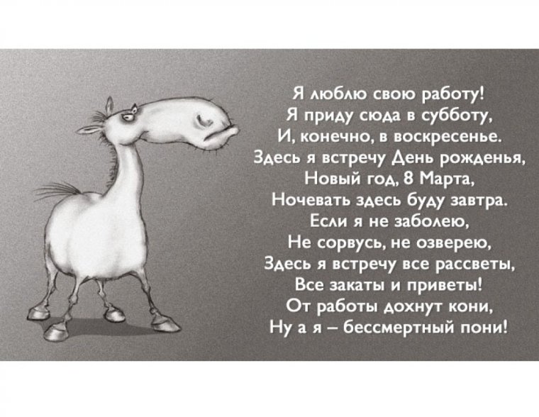 От работы дохнут кони ну а я Бессмертный пони
