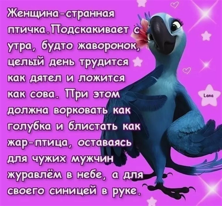 Юмор в стихах и картинках