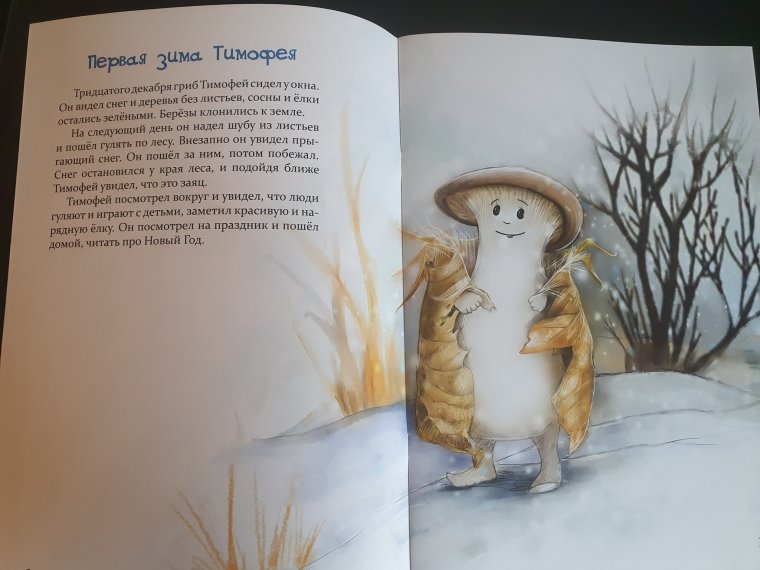 Приключения Тимофея сказка про гриб