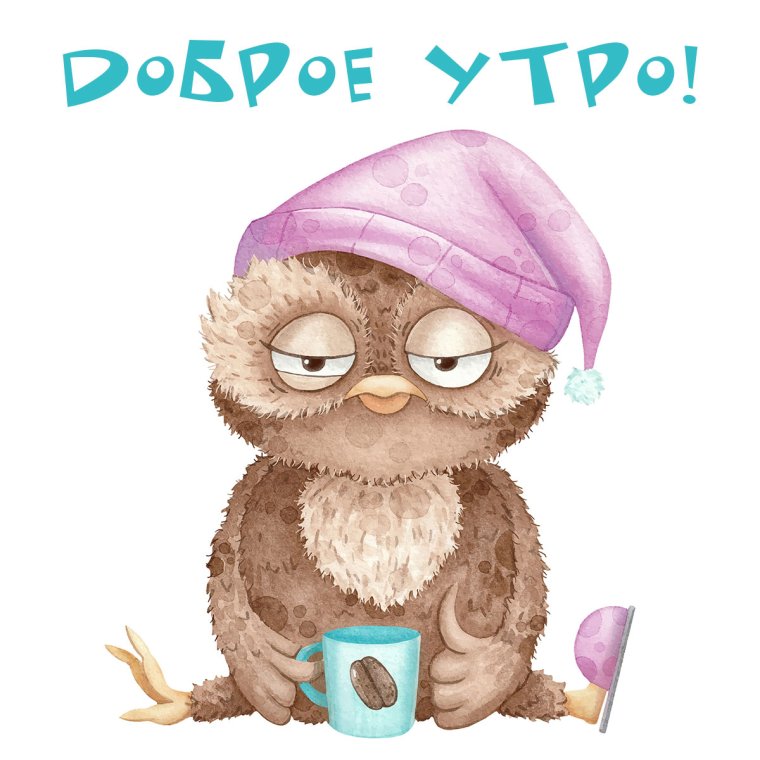 Сонная Сова