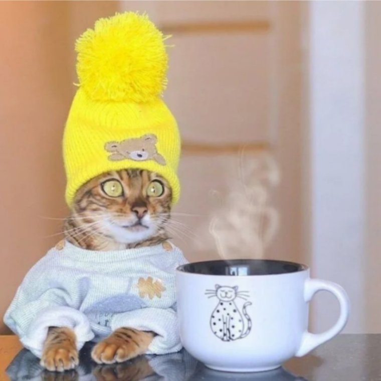 Доброе утро юмор