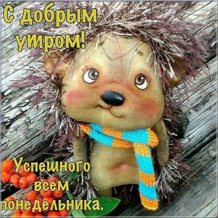 Прикольное утро