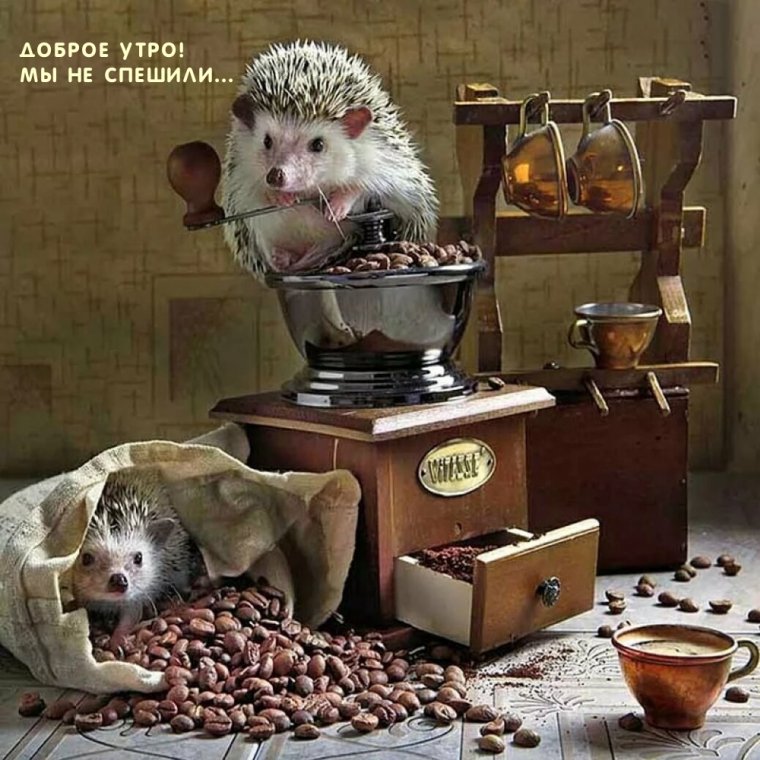 Мотивирующие открытки с добрым утром