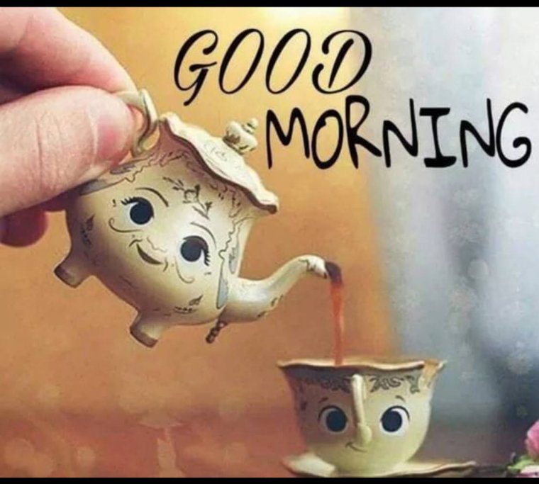 Доброе утро пятница коты