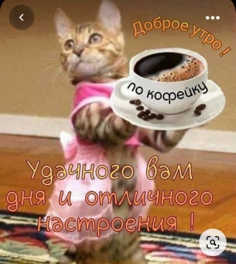 Доброе утро субботы прикольные