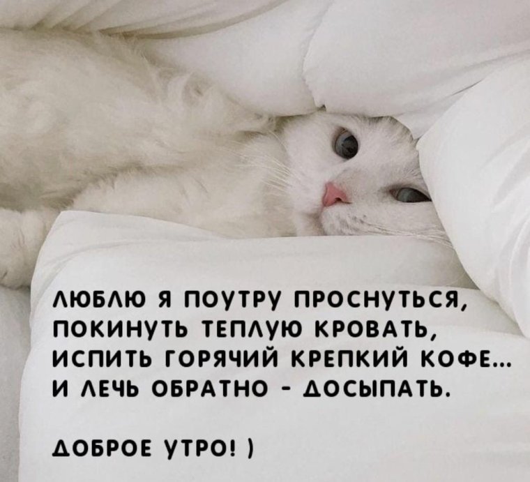 Доброе утро папочка