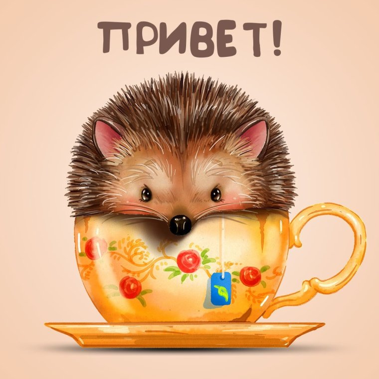 Утро понедельника