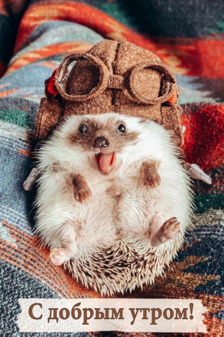 С добрым утром четверга прикольные