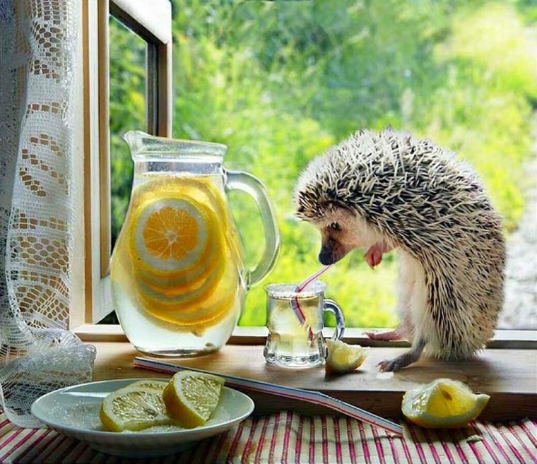 Доброе утро современные