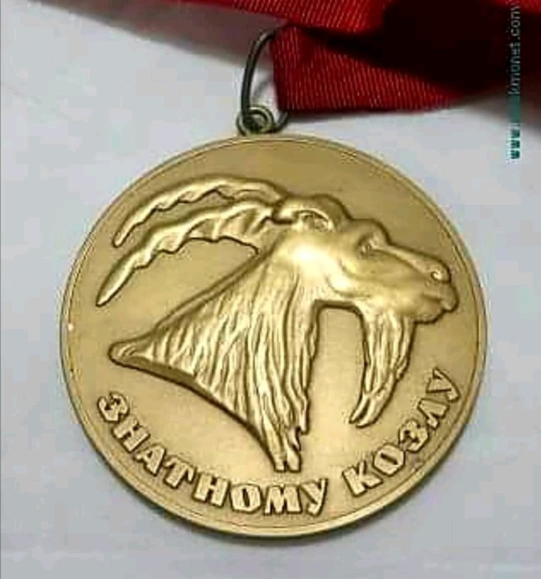 Позорная медаль