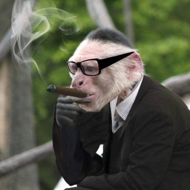 Ботан в очках