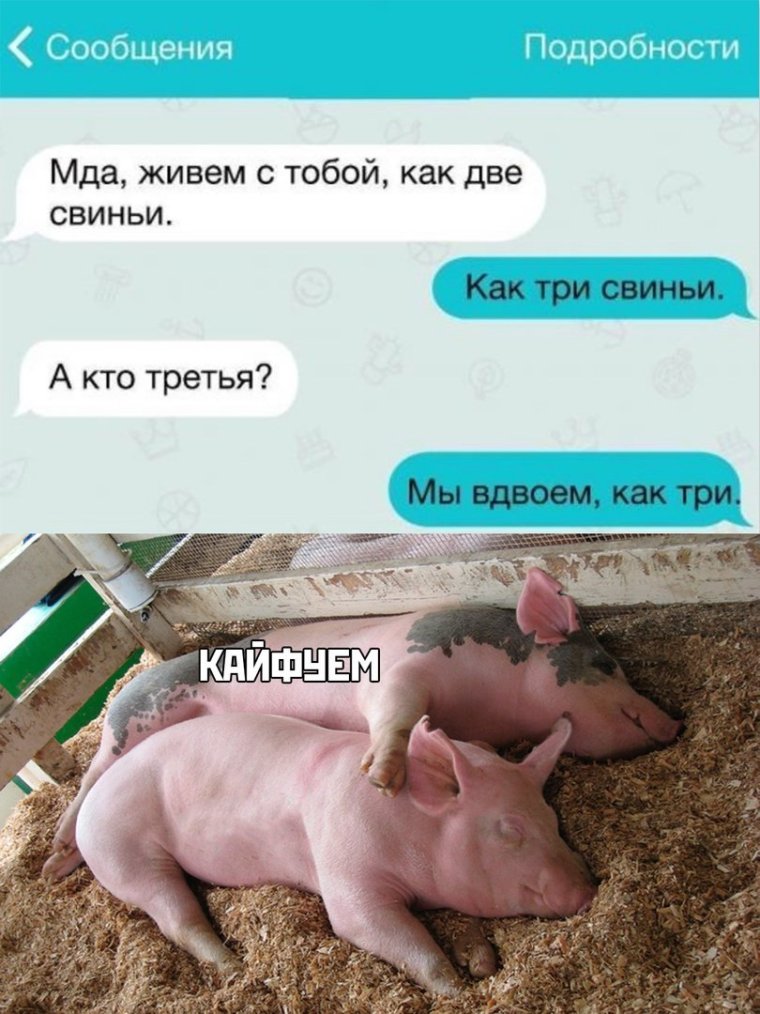 Я С Марса ты свинера
