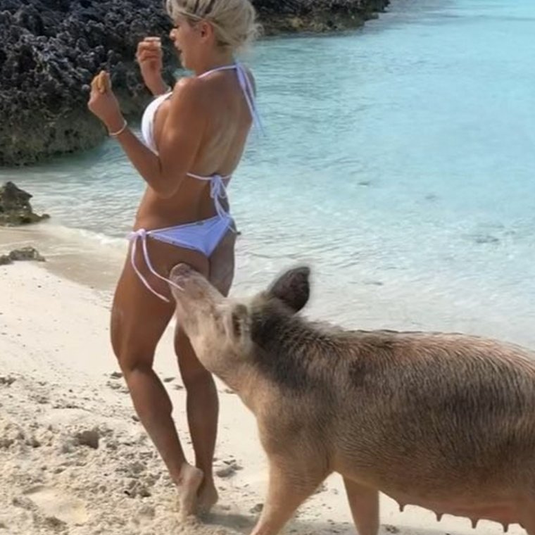 Поросенок улыбается