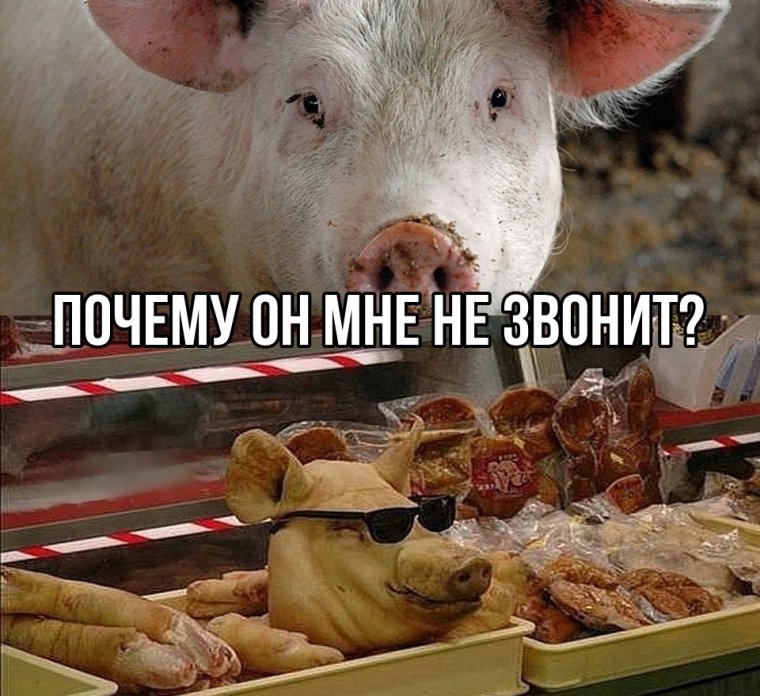 Информатические мемы