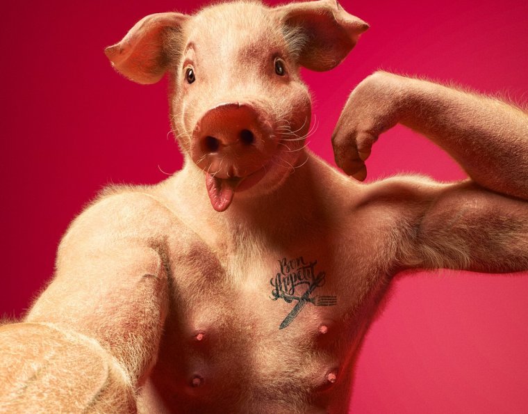 Приколы ржачные до слез