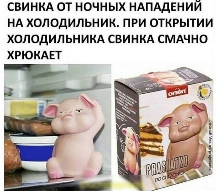 Девушка катается на свинье