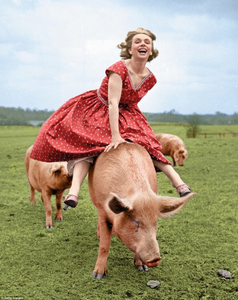 Мужик спит с поросенком