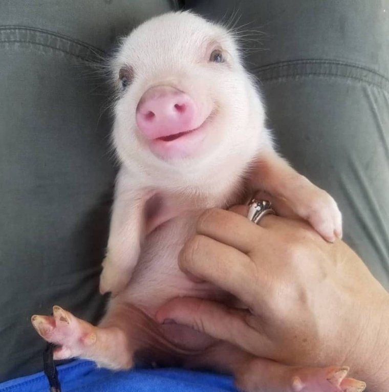 Это чья такая жепка мягенькая