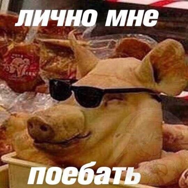 Счастливый поросенок