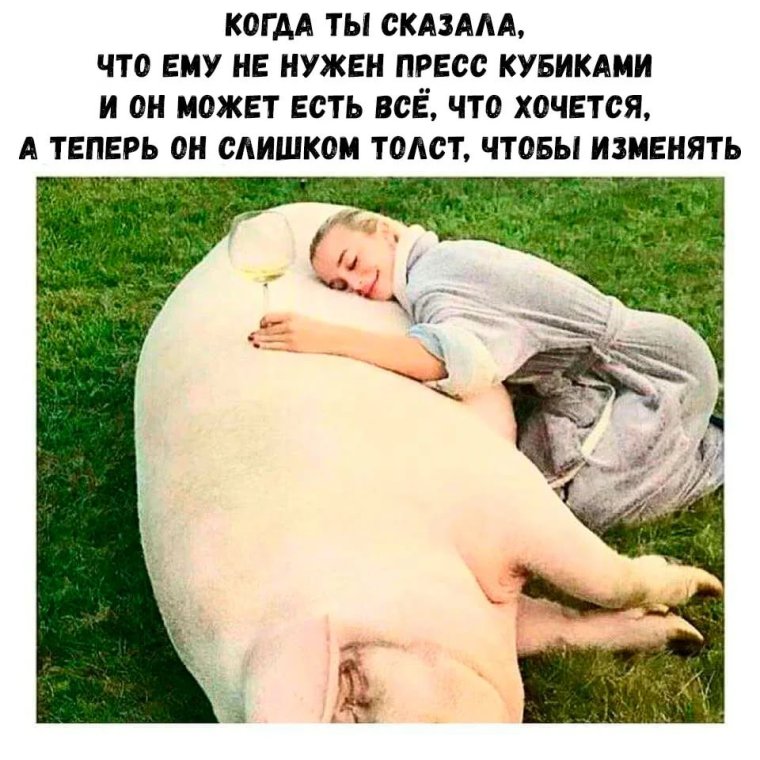 Как можно съесть это милейшее создание