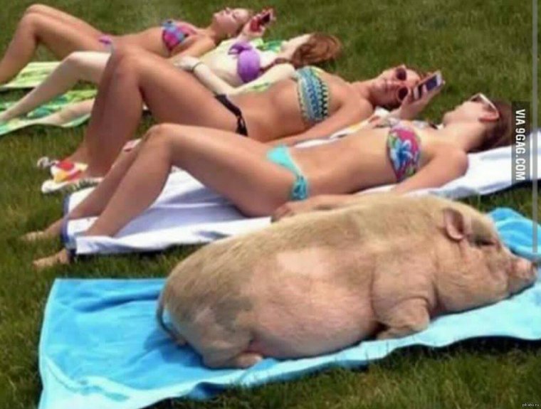 Смешные селфи девушек