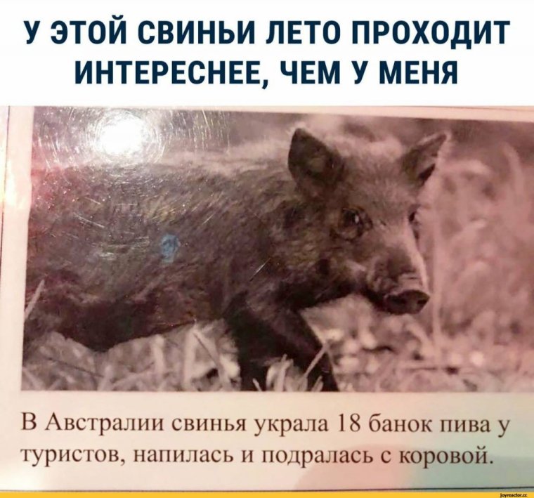 Ржачные комменты