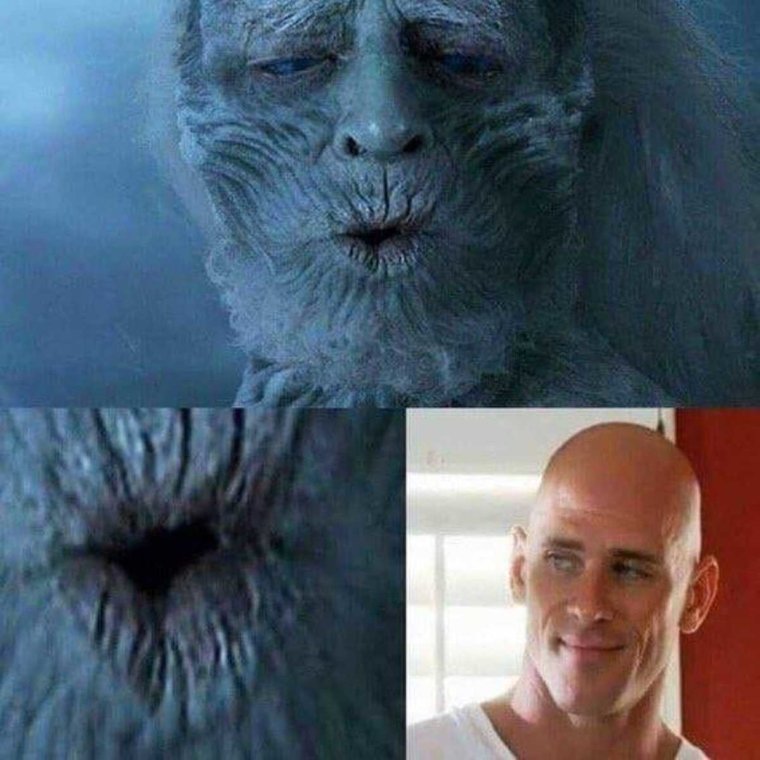 Лысый доктор Джонни Синс