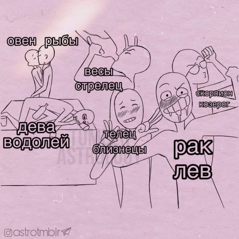 Смешные фразы знаков зодиака