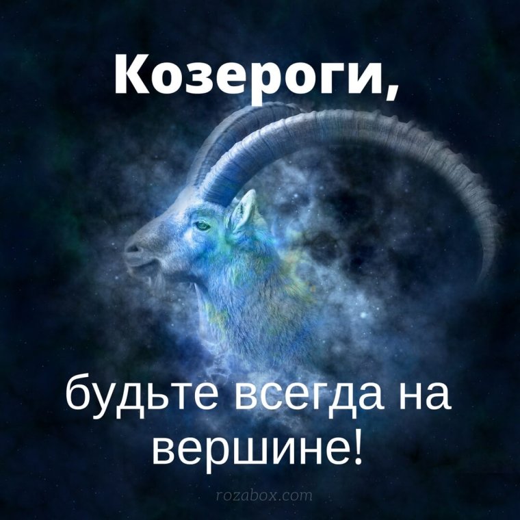 Цитаты про Козерогов