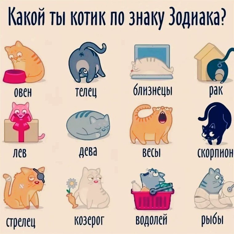 Шутки про Козерогов