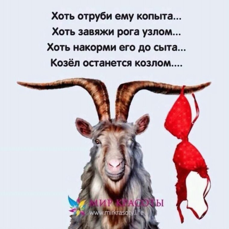 Факты о знаках зодиака