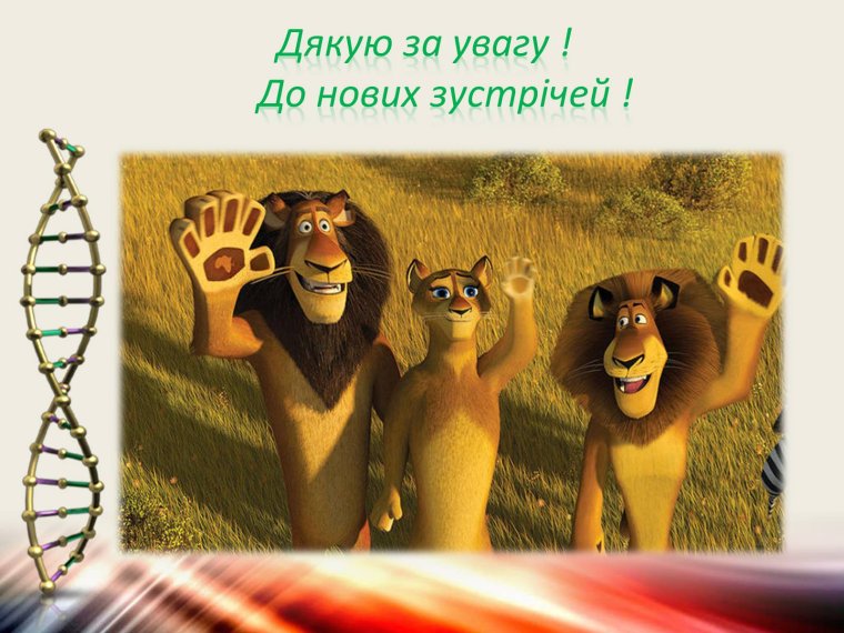 Спасибо за внимание Африка